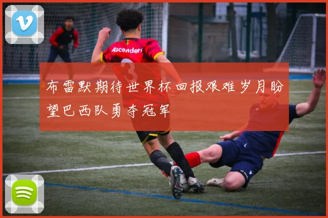 布雷默期待世界杯回报艰难岁月盼望巴西队勇夺冠军