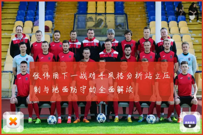 张伟丽下一战对手风格分析站立压制与地面防守的全面解读